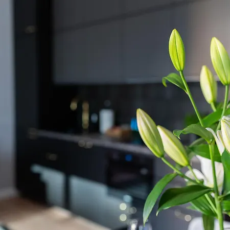 Yoursecondflat Grzybowska Metropoint Apartament